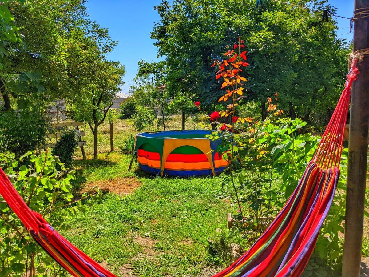 Veli Guest House • Საოჯახო Სასტუმრო Ველი Zemo Alvani Exteriér fotografie