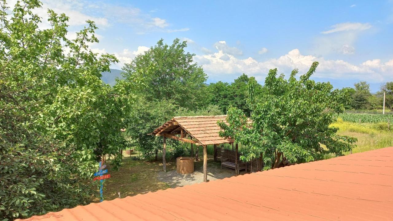 Veli Guest House • Საოჯახო Სასტუმრო Ველი Zemo Alvani Exteriér fotografie